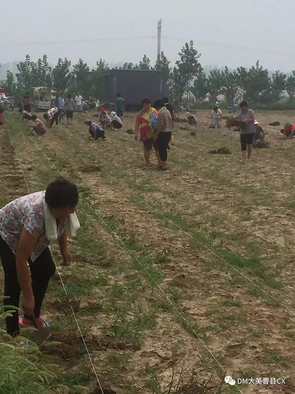 種植基地