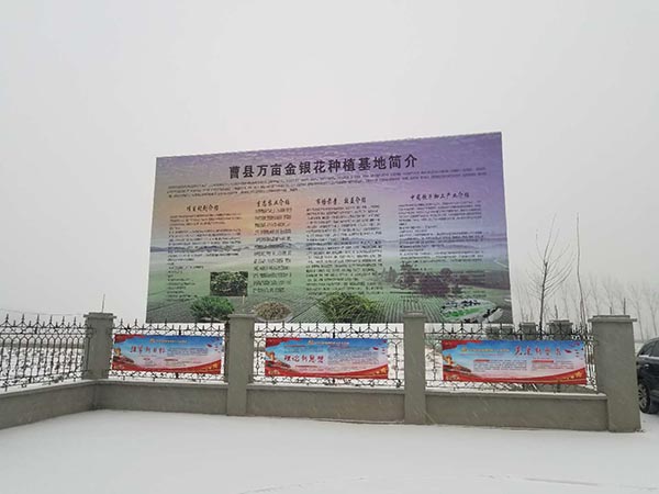 全景展示