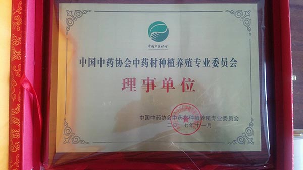 資質(zhì)榮譽(yù)
