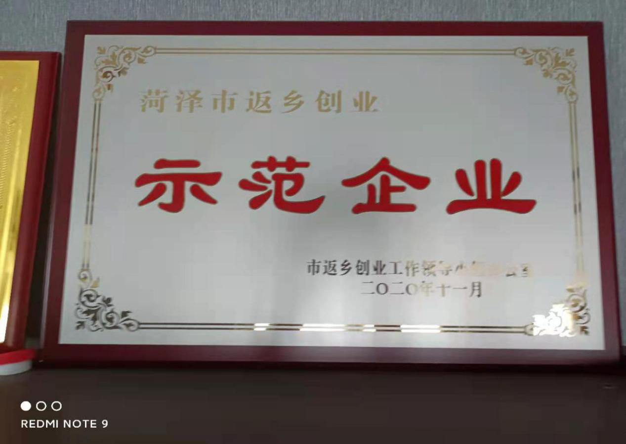 坤和堂藥業(yè)公司榮譽(yù)資質(zhì)